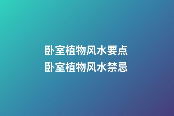 卧室植物风水要点 卧室植物风水禁忌